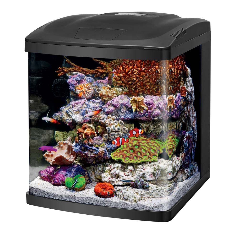 16 Galon BioCube Akvaryum LED'li (Tank16 Galon BioCube Akvaryum LED'li (Tank  