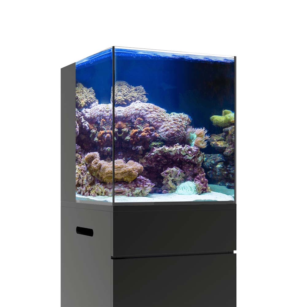 10 Gallon Nano RL Rimless Aquarium (Tank Only) - JBJ