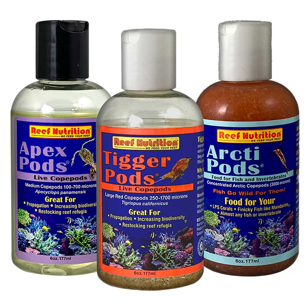 PACK_pod_6oz__64162.1614700268