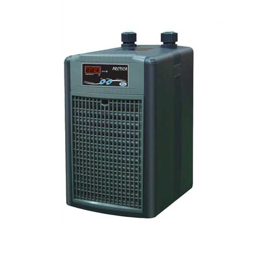 JBJ01075-2__90256.1693324678.