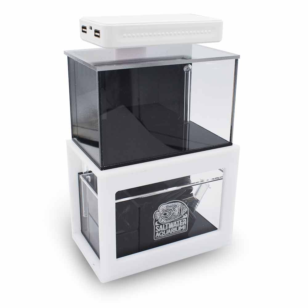 Micro Reef Ready Tank (0.3 Gallon) Standard (WHITE) - PNW Customs