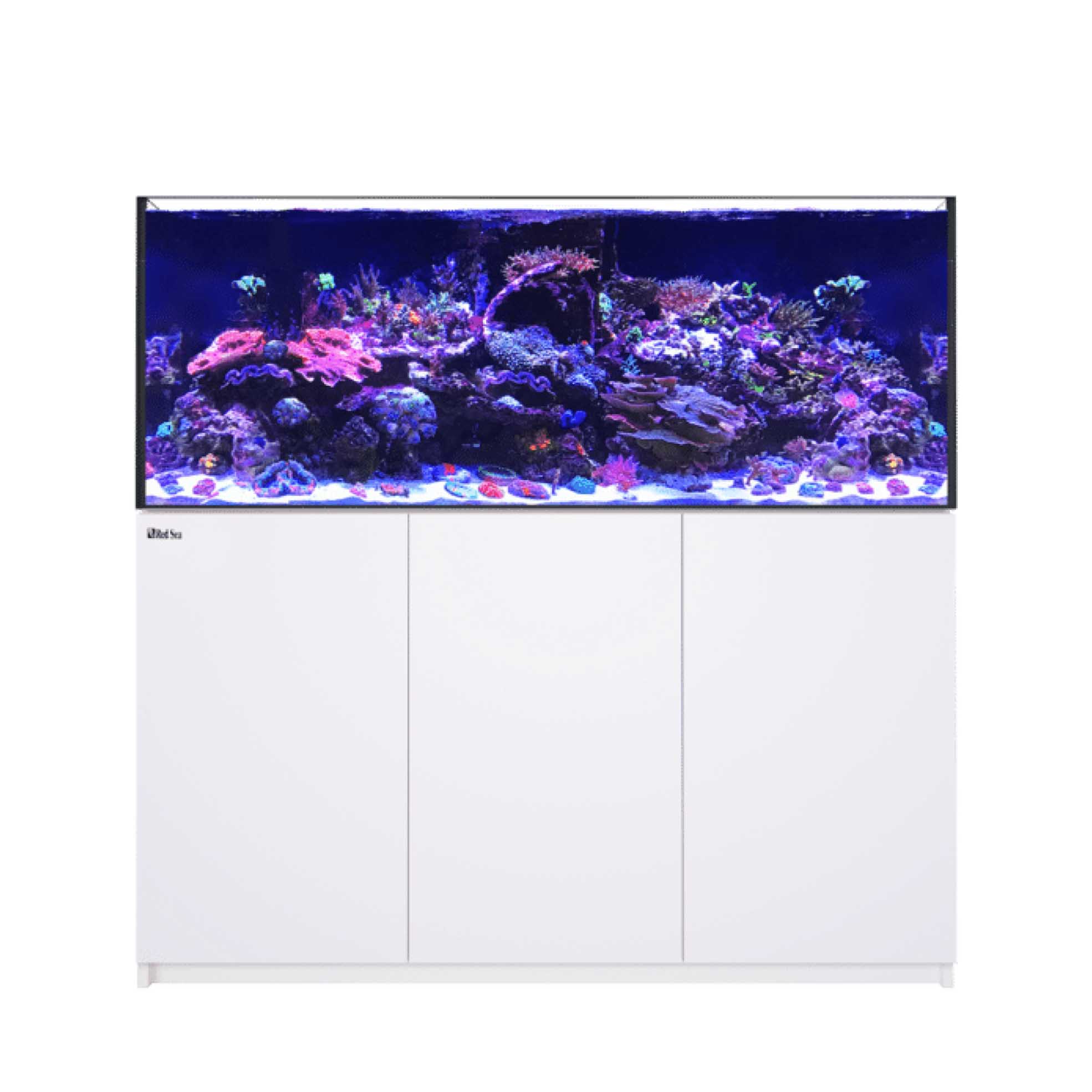 625_W_Doors_no_label_copy__748