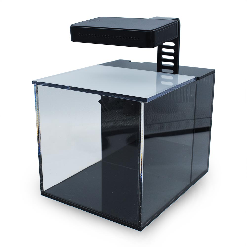 Acrylic Small In One 1 Gallon Desktop SALTWATER Aquarium (Black) - PNW  Customs 