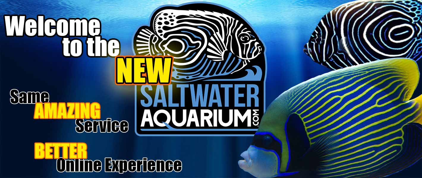 Saltwateraquarium Com Marine Reef Freshwater Supplies