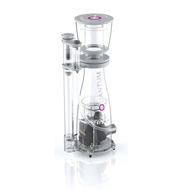 Do I Need a Protein Skimmer on My Saltwater Aquarium? - SaltwaterAquarium.com