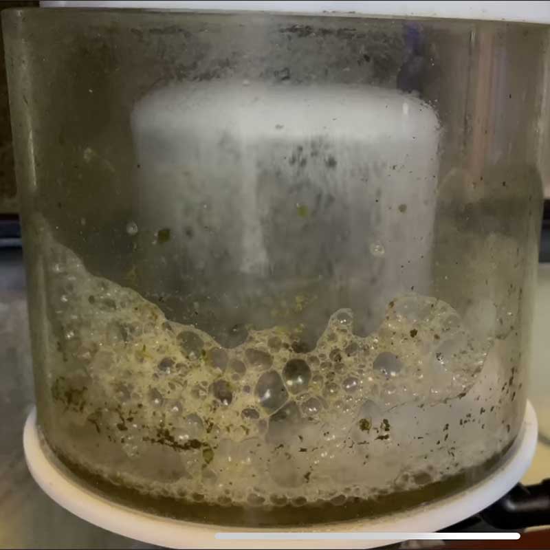 Wet Skimming Strategies for Cleaning Up Your Reef Tank