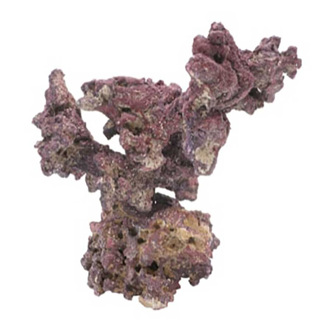 Purple LifeRock Nano Tree - Caribsea