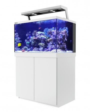 aquarium complete