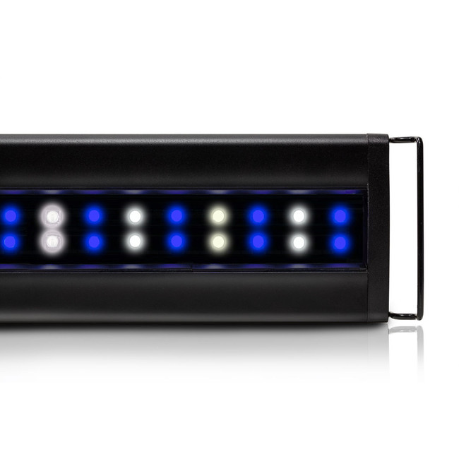 loopaccessory__66632.