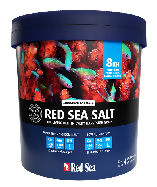 【500円引きクーポン】 Red Bucket Large Blue Sea Pro Coral (Not Gallon 175 Salt 海水魚用品