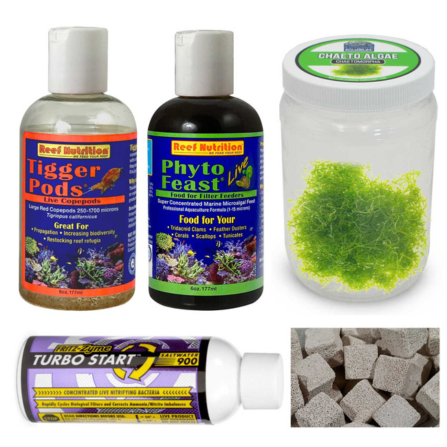 refugium sump setup