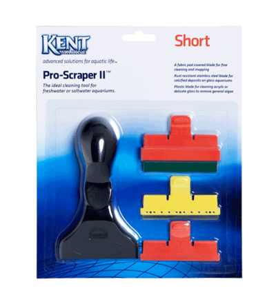 Seasquirt Feeding Tube Kent Marine Saltwateraquarium Com