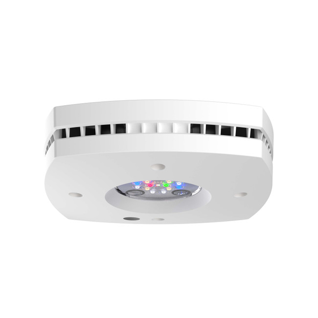 AI PRIME HD ホワイトハンギングキット付き海水淡水水槽LED