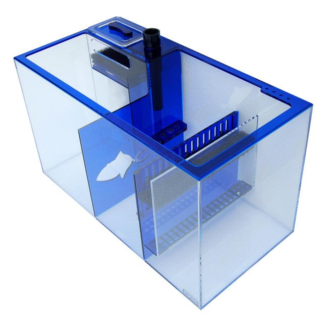 SAPPHIRE26_4__44387.1570558633