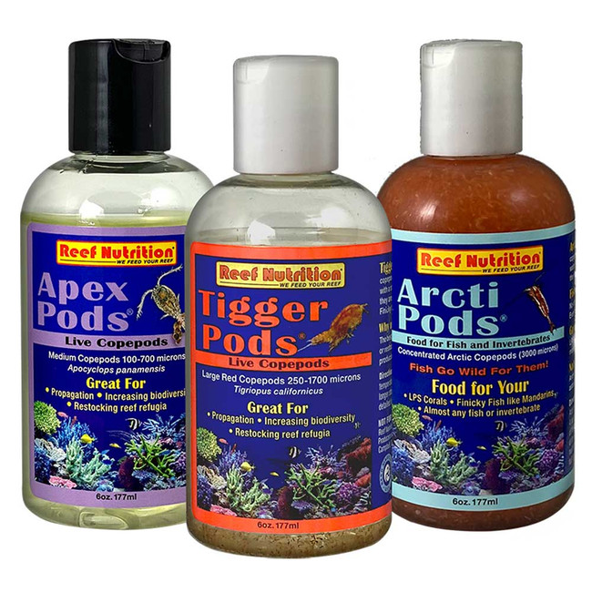 POD PACK Multiple Copepod Pack- Reef Nutrition - SaltwaterAquarium.com
