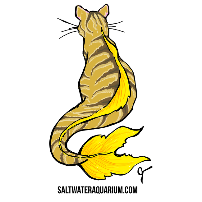 CatFish SaltwaterAquarium.com Sticker (FREE OVER $50) - SAQ.com ...