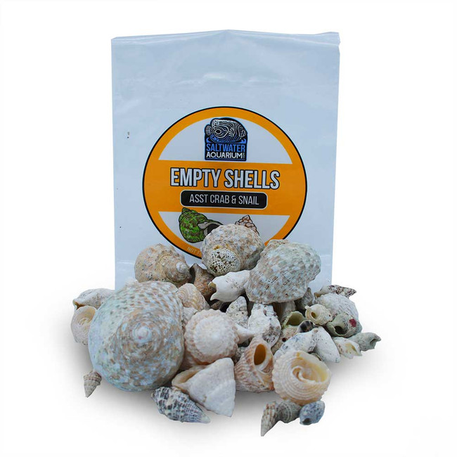 (200) Mixed Size & Shape Sterilized Aquarium Safe Empty Shells ...