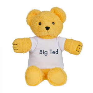 Play School Big Ted Plush Toy Play School Big Ted Plush Toy