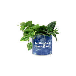 Medium Tie Dye Planter with 'Let the Good Times Grow' Caption