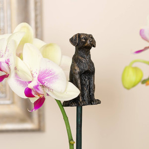 Jardinopia Antique Bronze Labrador Cane Companion - main view | Peekaboobaby