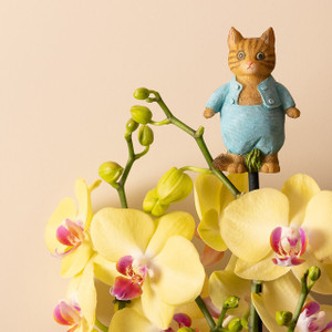 Jardinopia Beatrix Potter Tom Kitten Cane Companion - main view | Peekaboobaby