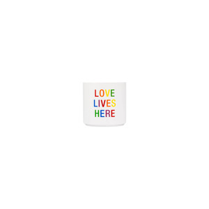 Say What? white ceramic planter pot with colourful Love Lives Here rainbow text Pride design on white background