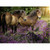Ravensburger Ponies in the Flowers 500pc puzzle completed showing ponies in flowering meadow