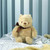 Buy Winnie The Pooh Classic Plush Toy - Pooh 23cm Online | Peekaboo Baby