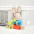 Beatrix Potter Peter Rabbit Teether Activity Toy - Baby Shower Gift | Peekaboo Baby