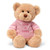 GUND It's a Girl Message Bear plush, pink t-shirt with printed message, front view soft bear