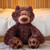 GUND Philbin large chocolate bear plush, three-quarter view showing warm brown fur texture