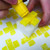 Shop Little Brian Paint Sticks - Assorted 24 pk at Peekaboo Baby Australia