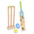 Bluey Wooden Cricket Set