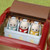 Triplets Stroller combined with Picnic Van and family figures
