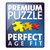 Ravensburger Dream Big Lion 300pc puzzle assembled showing close-up lion portrait detail