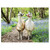 Ravensburger Llama Love 100 piece jigsaw completed showing cute llamas with flower garlands