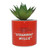 Disney Mickey Mouse Planter faux plant detail close-up
