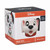 Disney 101 Dalmatians shaped planter with faux plant front view