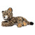 Gund Banks Leopard Plush Toy - retail packaging and box | Peekaboobaby