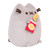 Pusheen Snackable Potato Chips Plush Toy: 24cm | Peekaboo Baby