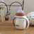 Beaba 2 in 1 Bottle to Sippy Learning Cup 210ml - Terracotta