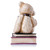 Charlie Year Bear 2009 Golden Fine Bone China Figurine - packaging and contents detail | Peekaboobaby