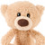 GUND Forever Friends Littles Toothpick Bear Plush - packaging and contents detail | Peekaboobaby