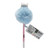 Hello Kitty Pom Pom Pen with Figurine Topper - secondary product view | Peekaboobaby