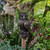 Jardinopia Antique Bronze Barn Owl Pot & Cane Companion - main view | Peekaboobaby