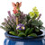 Jardinopia Apple Blossom Fairies Cane Companion - main view | Peekaboobaby