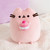 Pusheen Cherry Macaron Squisheen Plush - 24cm - packaging and contents detail | Peekaboobaby