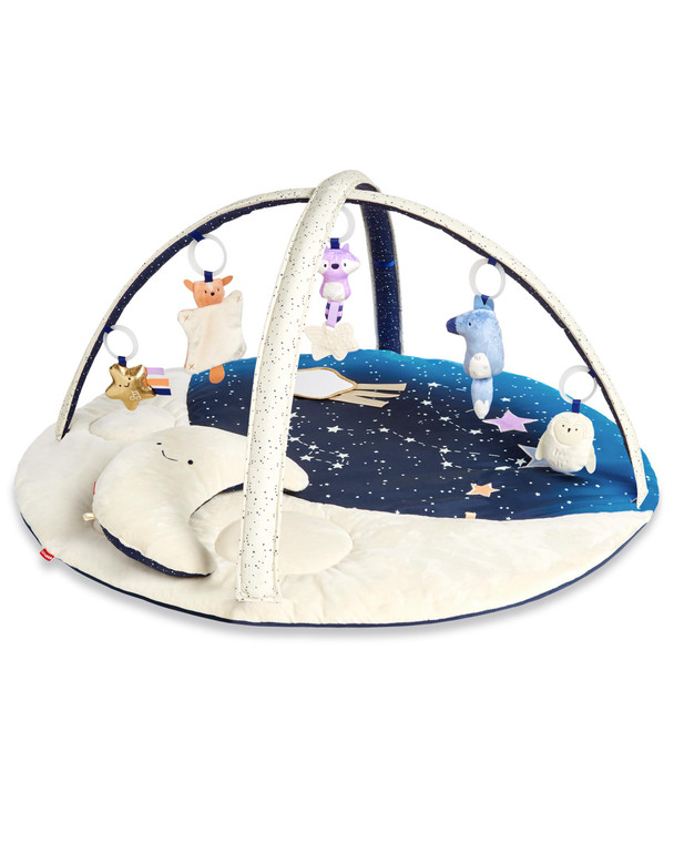 Skip Hop Celestial Dreams Baby Activity Gym full setup