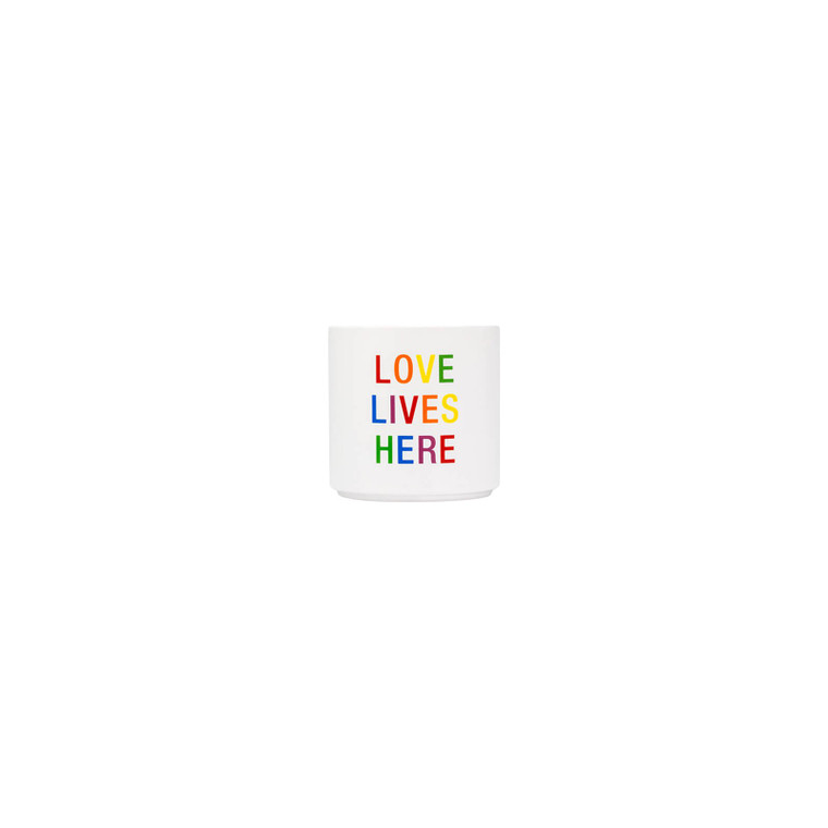 Say What? 'Love Lives Here' Medium Planter - Pride