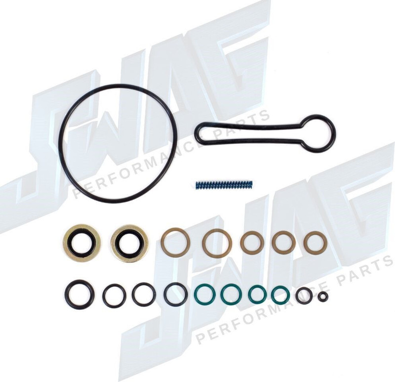 SWAG PERFORMANCE 6.0L BLUE SPRING & SEAL KIT